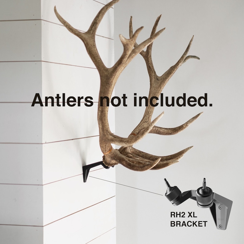 Blemished RACK HUB® RH2 XL match set antler mount / moose antlers / elk antlers / stag antlers / caribou antlers / antler taxidermy / decor image 1