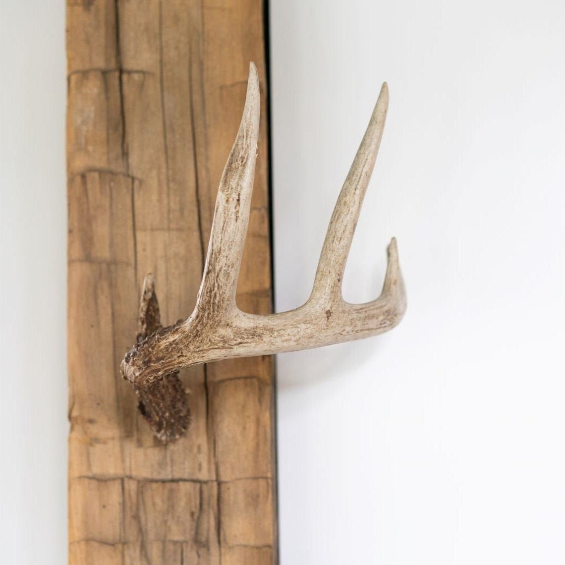 RACK HUB™ 10 Pack / Antler Bar / DIY Antler Mount / Shed Etsy