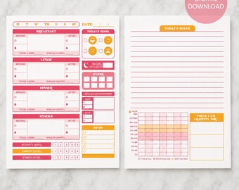 PLANNER INSTANT DOWNLOAD Pink Diabetes Journal (8.5x11 inches), Blood Sugar Logbook, T1D, Meal Tracker, Blood Sugar Log, Mood Journal