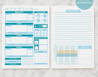 PLANNER INSTANT DOWNLOAD Blue Diabetes Journal (8.5x11 inches), Blood Sugar Logbook, T1D, Meal Tracker, Blood Sugar Log, Mood Journal