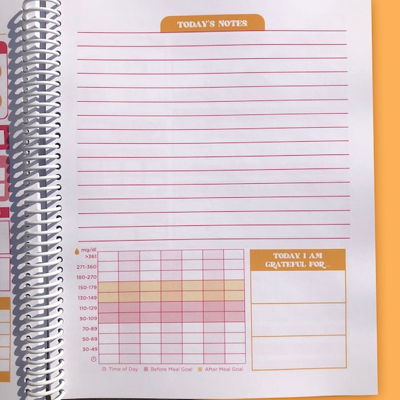 Daily Diabetes Journal (LARGE), Blood Sugar Log Book