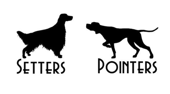 pointers and setters