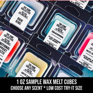 May include: An assortment of soy wax melt cubes in clear plastic packaging. Each cube has a label with a scent name, such as "Rain King" and "Emotional Support Ghostie." The text "1 OZ SAMPLE WAX MELT CUBES" is at the bottom.