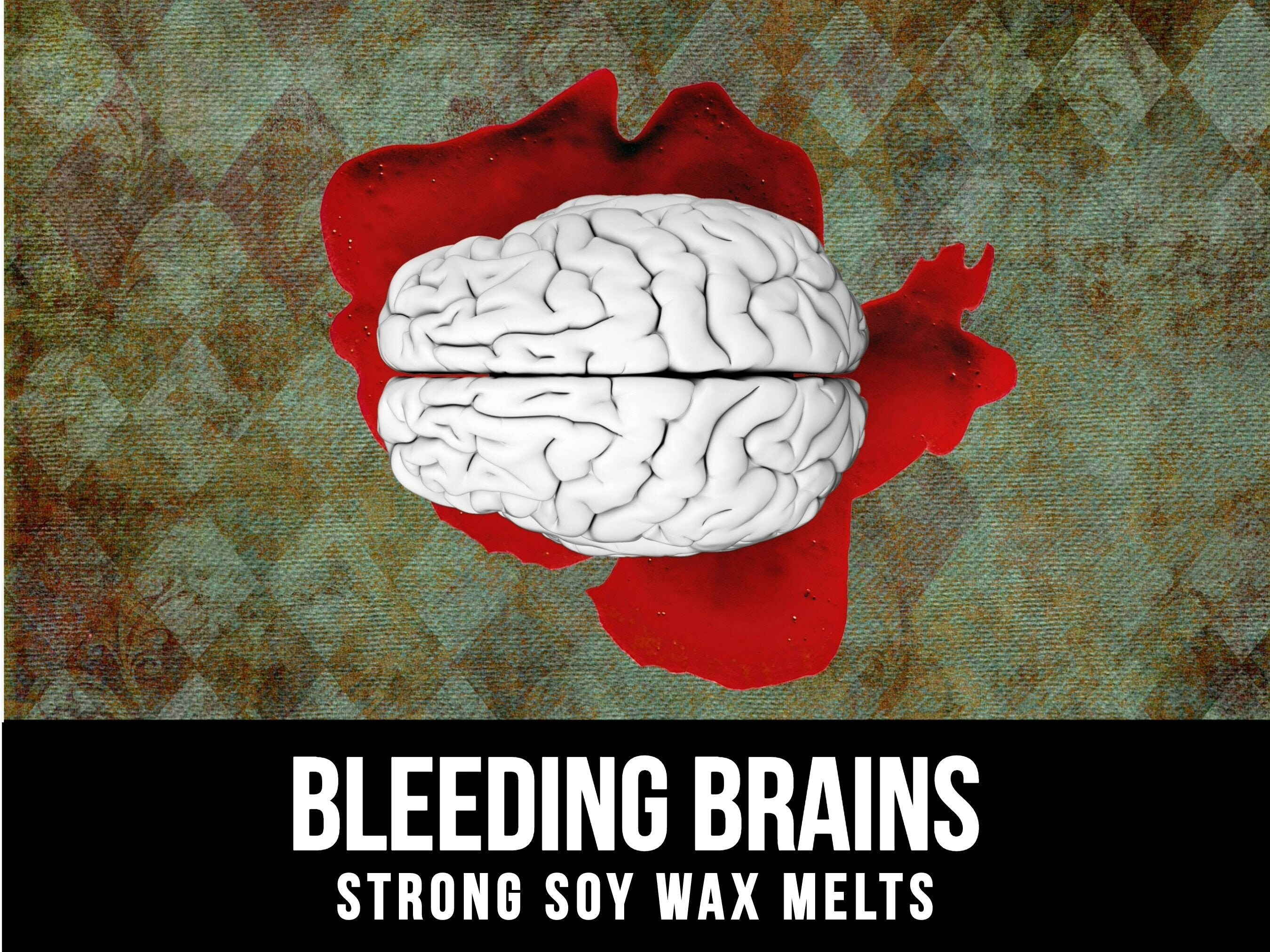 Bleeding Brains Wax Melts for Warmers, Your Choose Scent, Long Lasting Wax  Tarts, Anatomical Brain Wax Melt, Fun Stocking Stuffer Gift 