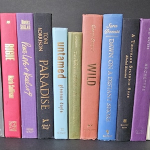 May include: A collection of hardcover books with various colored spines, including gray, red, purple, black, light blue, and peach. Gold lettering displays titles such as "The Price of Peace," "Rogue," and "Paradise."