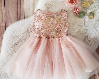Blush Sequined and gold/blush embroidered  top with tulle skirt.