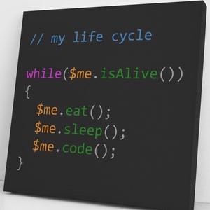 May include: A black and white image of code on a black background. The code is written in a programming language and includes the text "// my life cycle" and "while($me.isAlive())".