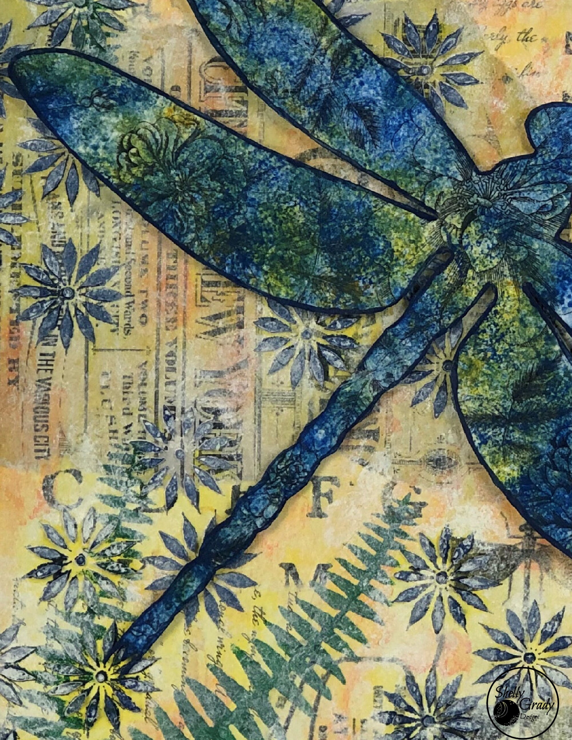 Dragonfly description picture