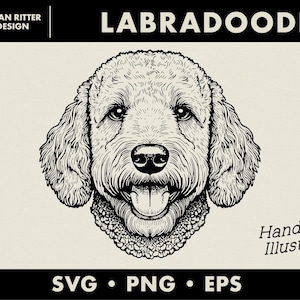 Labradoodle / Disegno a mano / Ritratto di animale domestico / Grafica di muso di cane / PNG / SVG / EPS / Arte digitale / Arte stampabile
