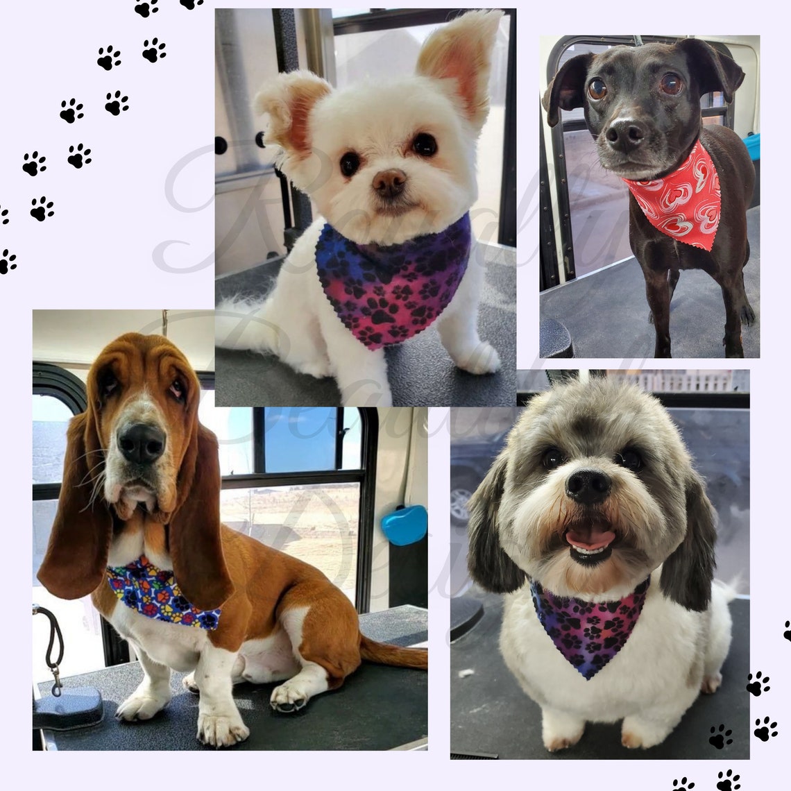 Halloween Print Dog Groomers Bandana Bulk Set Grooming Pet Etsy