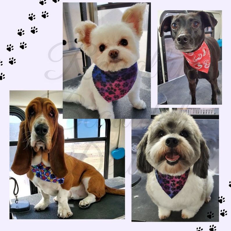 Animal Skin Bulk Dog Grooming Bandanas Etsy