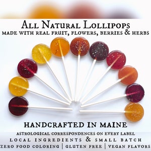 Fruit, Flower, Berry & Herb Lollipops/ /Botanical/Artisanal/Healthy Candy Gift Boxes, Weddings, Party Favors, Birthday / Maine Made