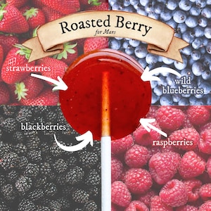 Roasted Maine Berries Lollipops Botanical / Artisanal / Herbal / Natural Candy Gift, Wedding, Birthday / Maine Made
