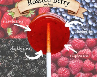 Roasted Maine Berries Lollipops Botanical / Artisanal / Herbal / Natural Candy Gift, Wedding, Birthday / Maine Made