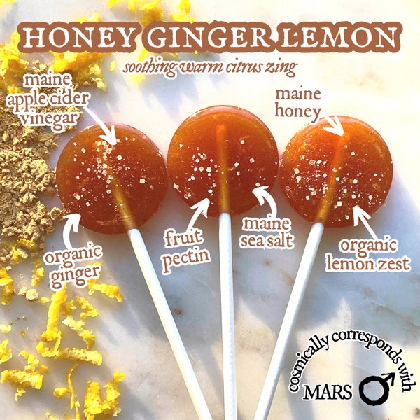 Honey Ginger Lemon Lollipops / Botanical / Artisanal / Herbal / All Natural Candy Gift Box, Wedding, Party Favor, Birthday / Maine Made