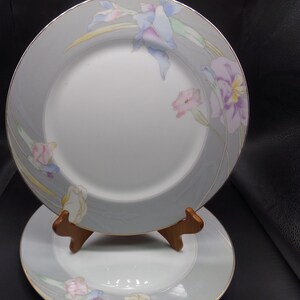 MIkasa Charisma Gray Dinner Plates(Set of 2)