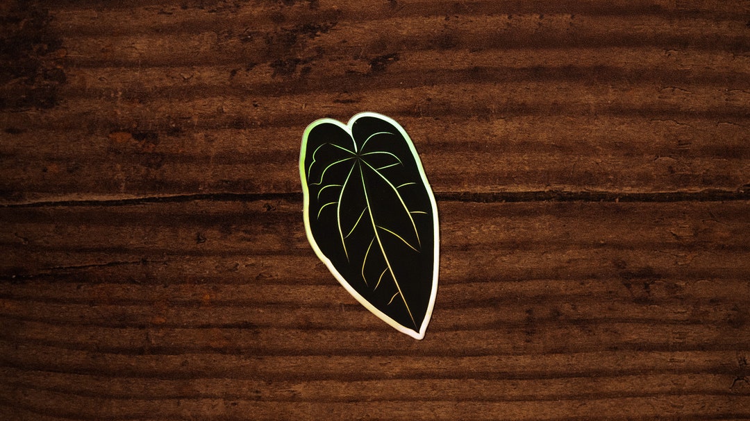 Anthurium Ace of Spades Holographic Vinyl Sticker Etsy Ireland