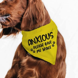 Anxiety scarf for dogs shop