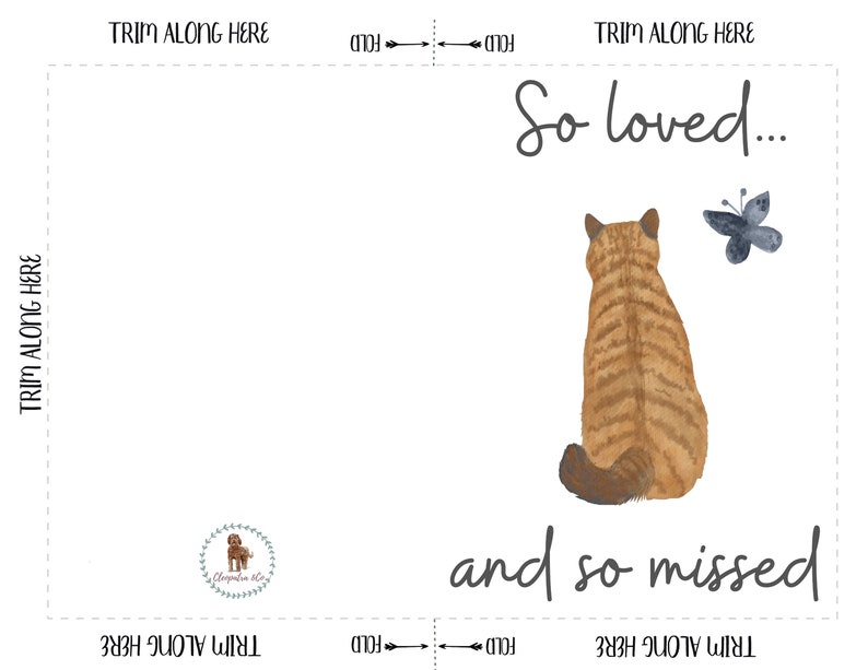 veterinary-wisdom-s74-cat-sympathy-card