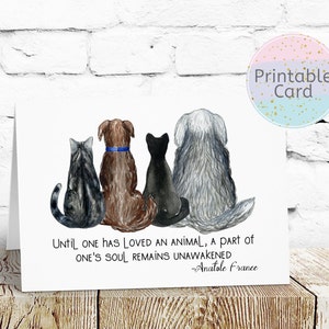 Carta di simpatia per animali domestici stampabile, carta di condoglianze per animali domestici, simpatia per animali domestici, carta di simpatia per cani, perdita di cane, perdita di gatto - DOWNLOAD IMMEDIATO