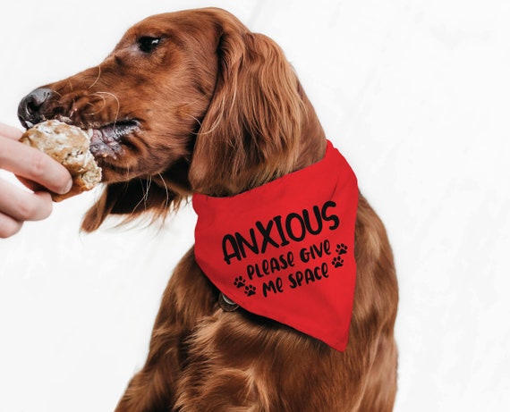 Anxious Red Dog Bandana Please Give Me Space Reactive Dog - Etsy