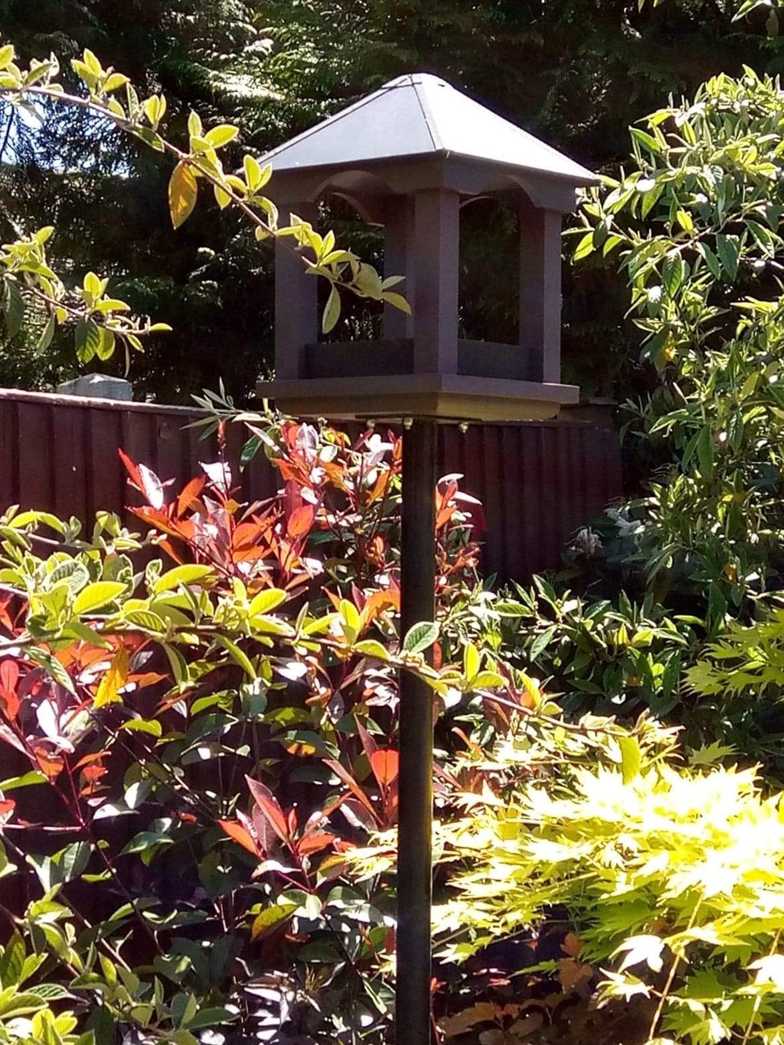 Large bird feeder hanging/post mounted Etsy