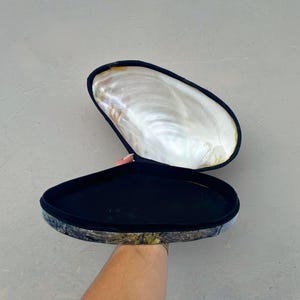 Könnte beinhalten: Eine offene, muschelförmige Schatulle mit perlmuttartigem Innenraum und schwarzem Samtfutter. Die Außenseite der Schatulle hat ein gemustertes, erdiges Design. Die Schatulle wird geöffnet gehalten, um ihren Inhalt zu zeigen. Die Ästhetik ist elegant und natürlich.