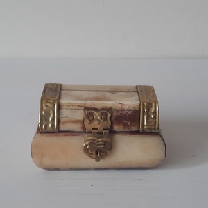 May include: A small, rectangular box made of ivory with brass accents. The box has a hinged lid with a brass owl-shaped clasp. The box is closed.