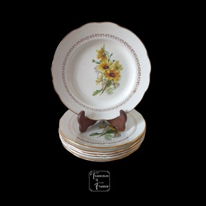 Vintage Set Of 6 GIEN porcelain Plate Daisy Decor Earthenware Stylish Dinnerware French Cuisine Retro Serving Plate Gift Circa1960’s .