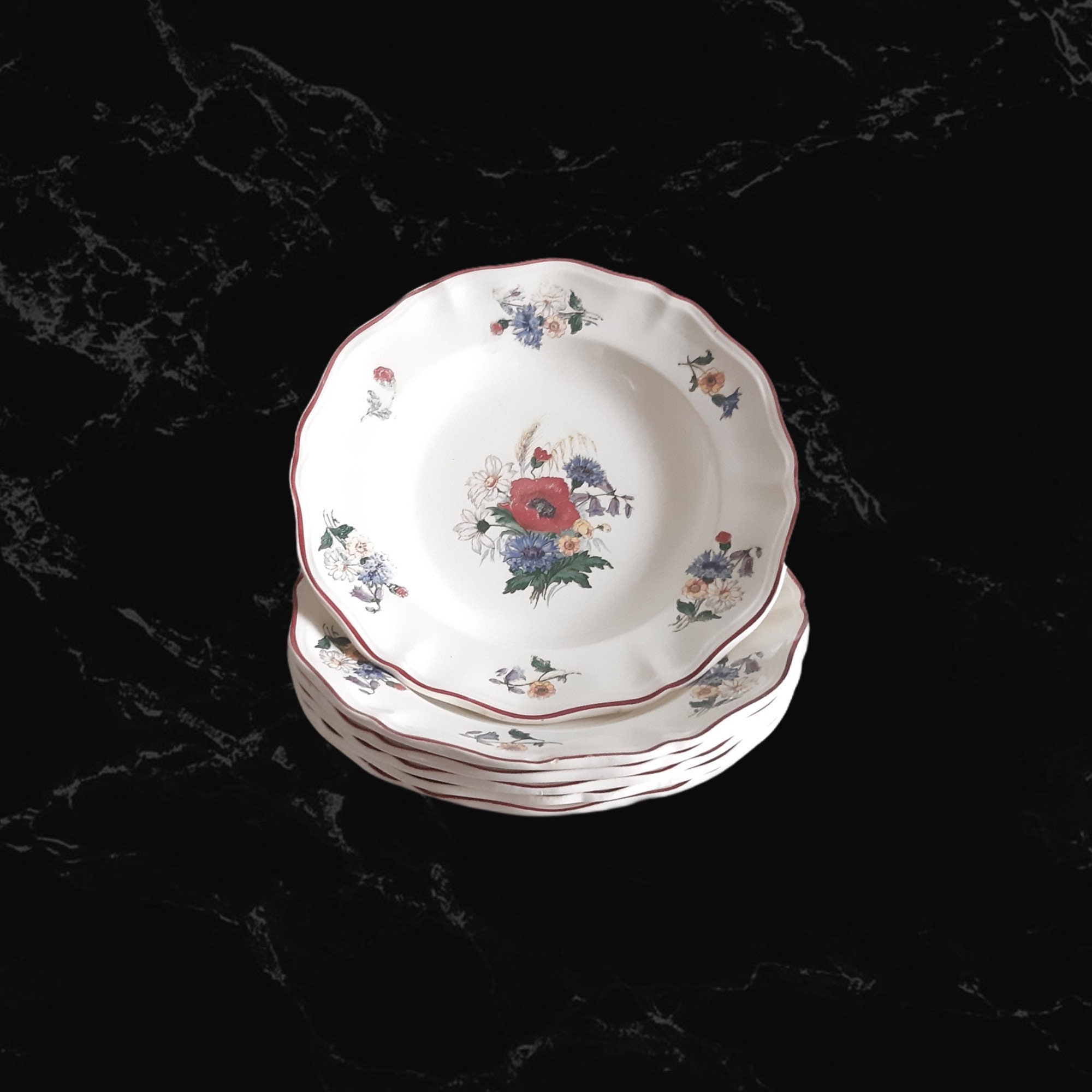 Ensemble Vintage de 6 Français Assiettes Creuses Six à Soupe Digoin Sarreguemines Country Kitchenwar