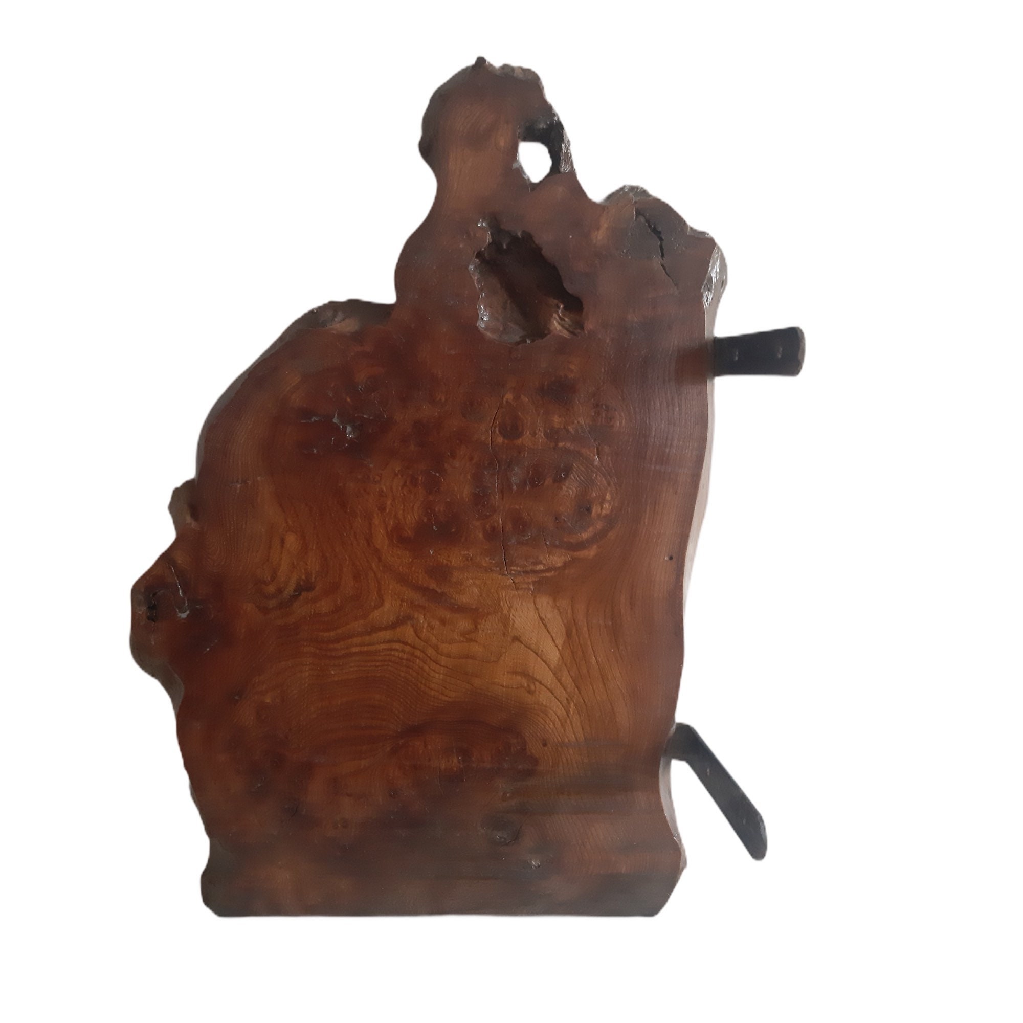 Vintage Rare Elm Burl Bois Vernis Wood Display Wall Fixation Monté Affichage Suspendu Plateau Figuri