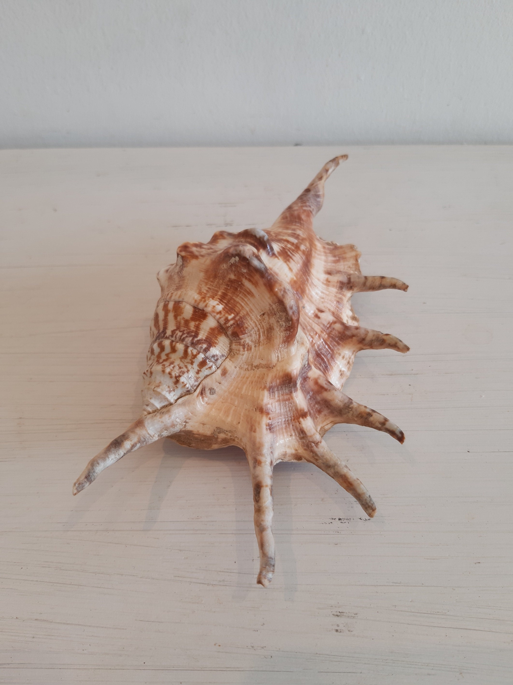 3 Vintage Japanese Ornamental Seashell Figurines