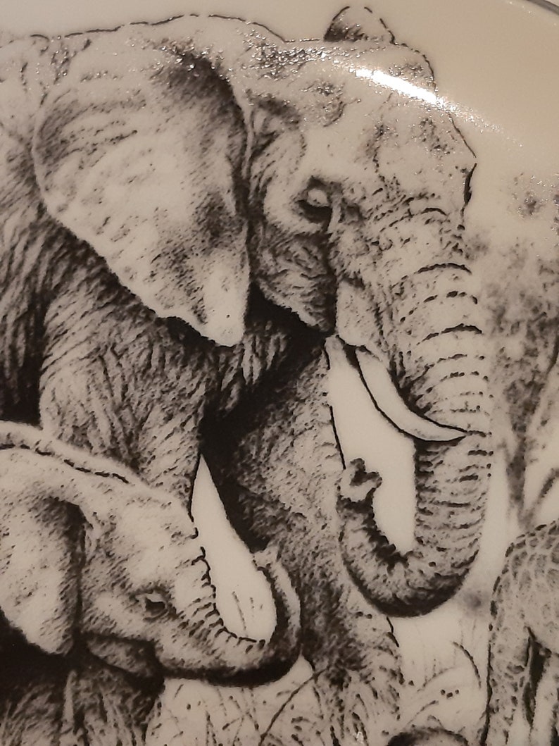 Vintage Fine Porcelain Elgate Plate Beautiful Safari Scene Animal Illustrations Lion Elephant Giraffe Monkeys African Decor Circa 2000