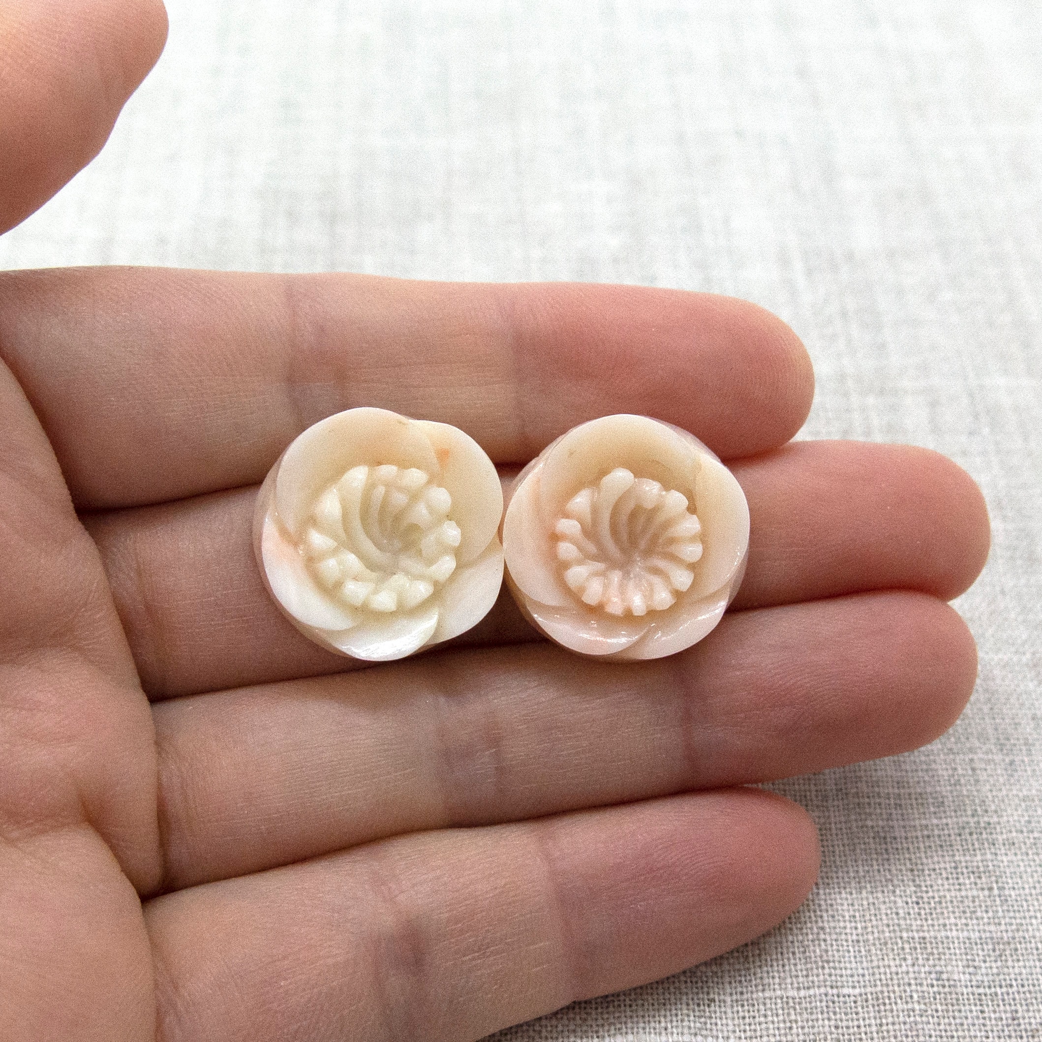 日本の梅の花の彫刻 • 天然の本物の貴重な深海ピンク珊瑚のスタッド 