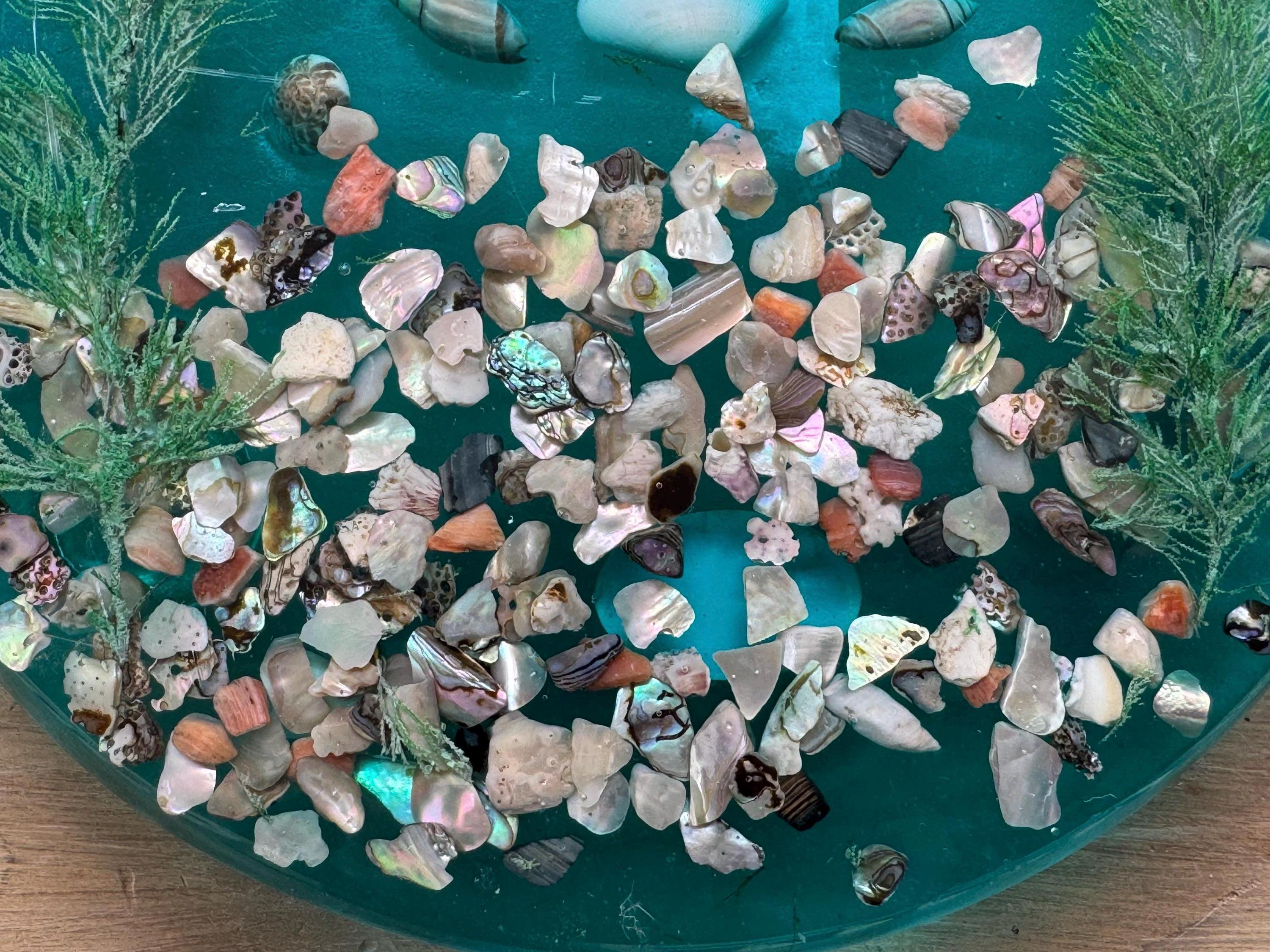 Turquoise Lucite Trivet With Abalone Sea Shells Seaweed Round Footed ...