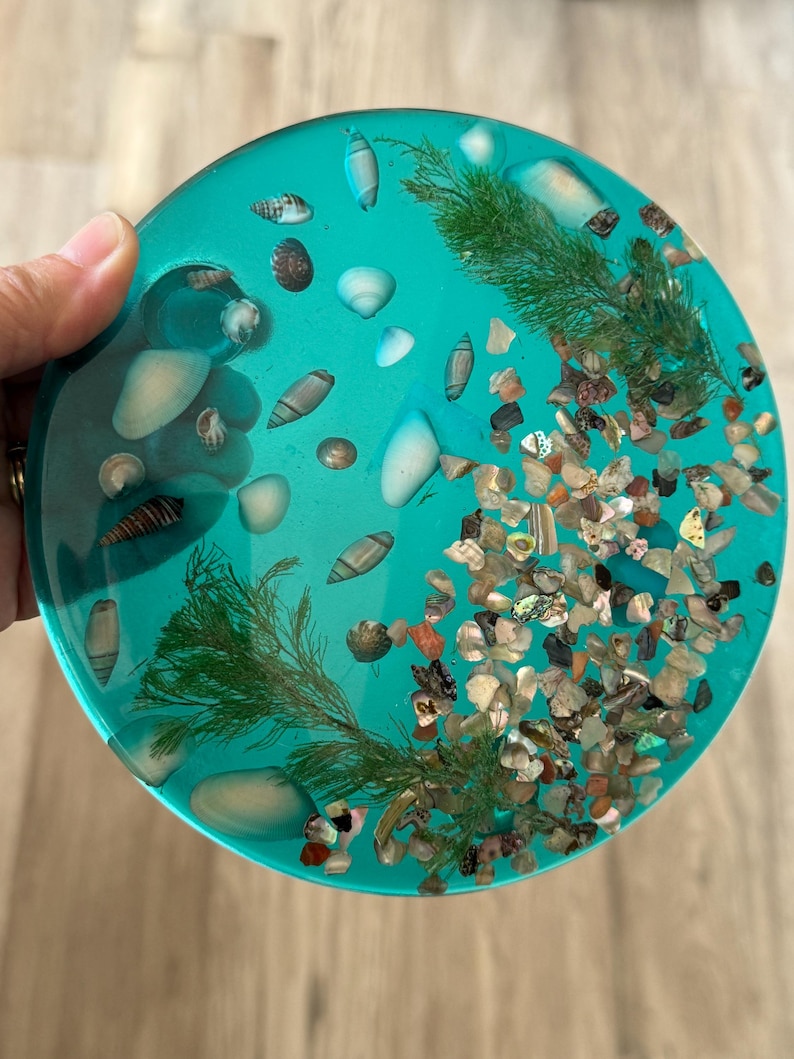 Turquoise Lucite Trivet With Abalone Sea Shells Seaweed Round Footed ...