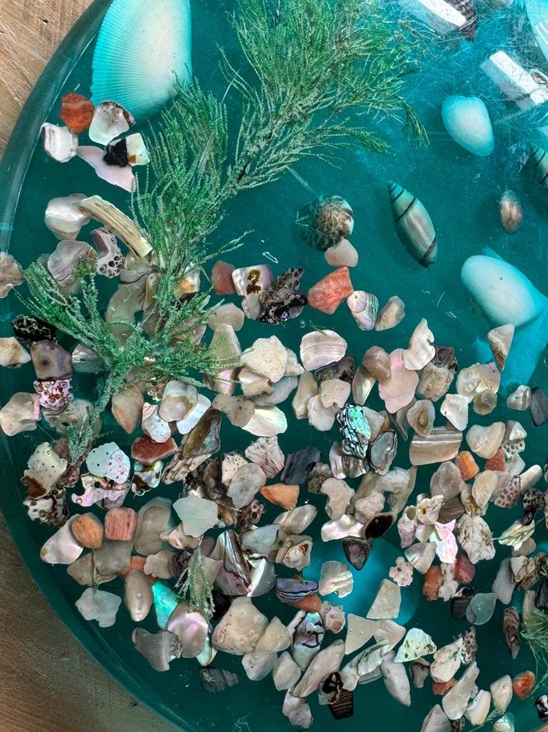 Turquoise Lucite Trivet With Abalone Sea Shells Seaweed Round Footed ...