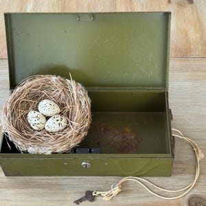 May include: An open, olive green metal box with a small bird's nest containing three speckled eggs. The box has a key and a beige cord attached. The box is on a light brown wooden surface.