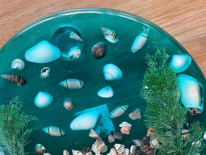 Turquoise Lucite Trivet With Abalone Sea Shells Seaweed Round Footed ...