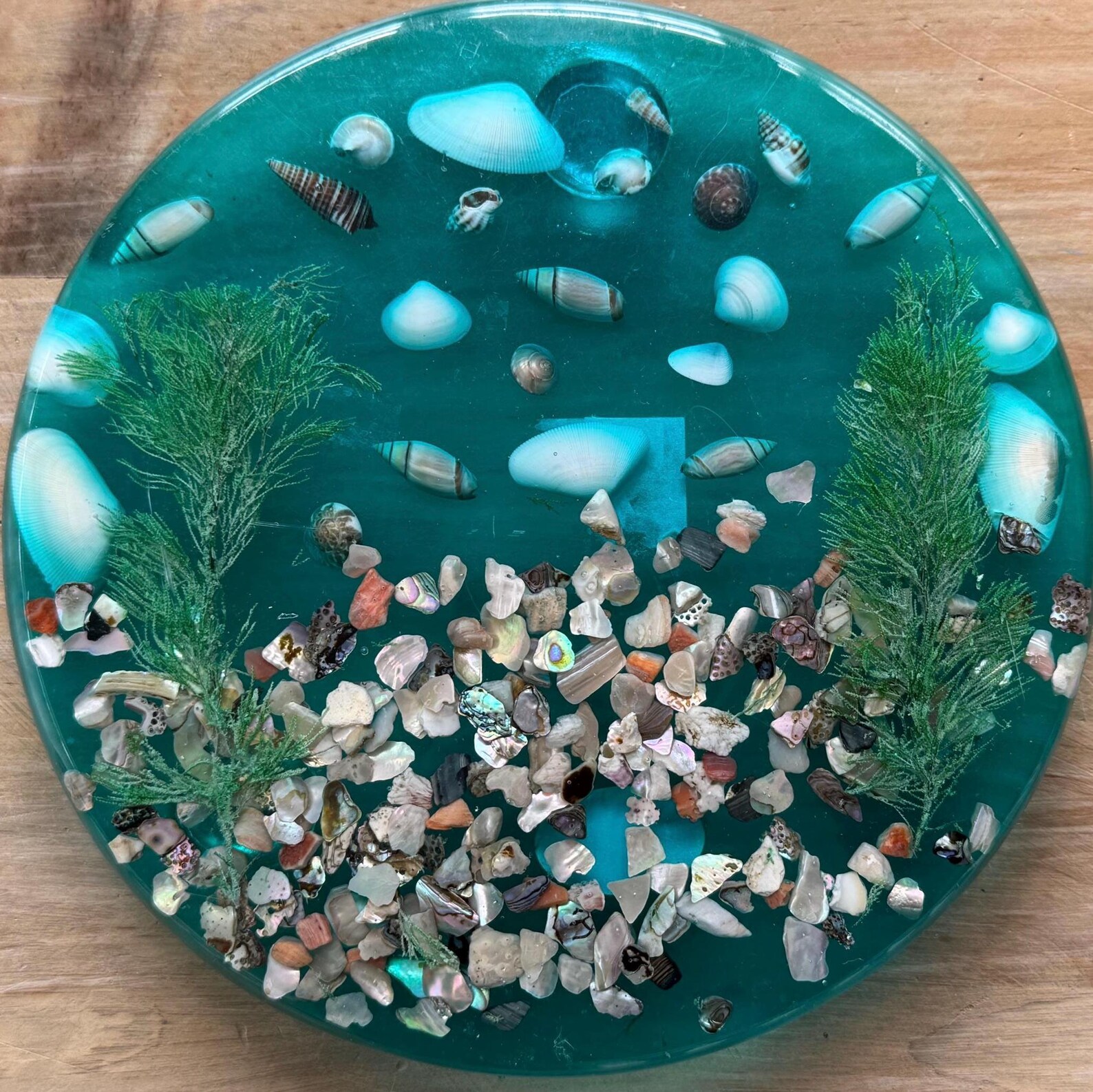 Turquoise Lucite Trivet With Abalone Sea Shells Seaweed Round Footed ...