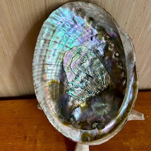 Large Abalone Smudge Shell with Wooden Tripod Stand. Sweetgrass, Cedar, Sage Smudge.