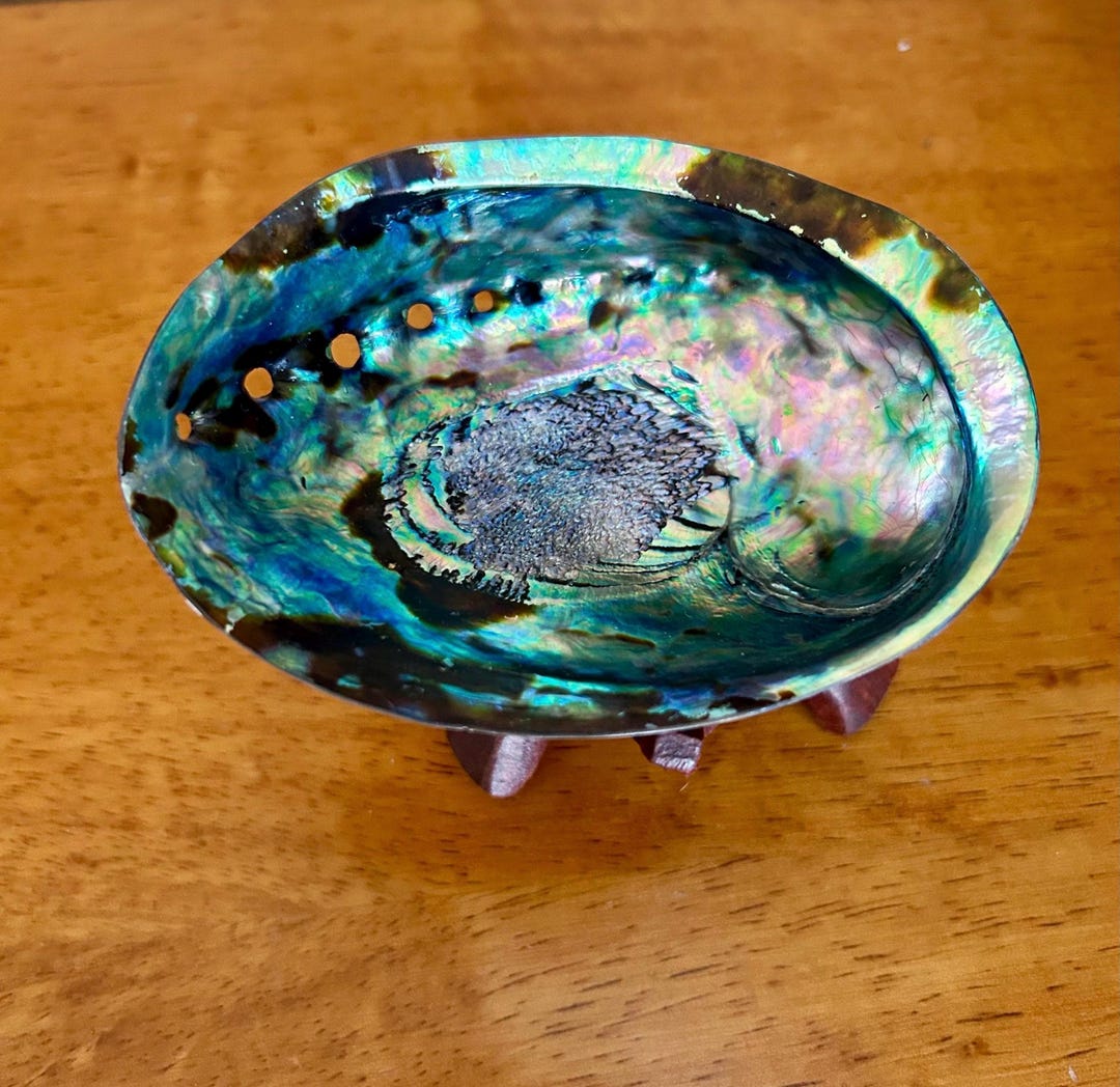 Large, 5” Abalone Smudge Shell With Wooden Tripod Shell Stand. - Etsy
