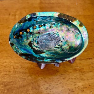Large, 5” abalone smudge shell with wooden tripod shell stand.