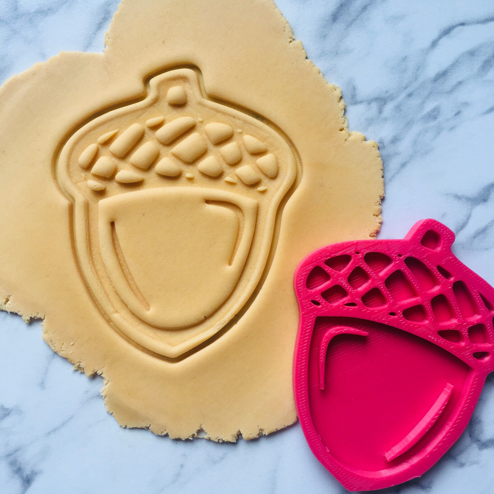 ACORN FALL cookie cutter stamp Etsy