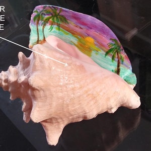 Hand Painted Personalized Conch Shell