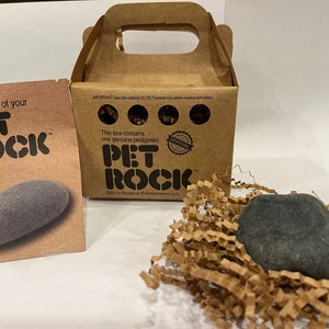 Vintage Original Pet Rock Concert Rock Garden Paperweight 1970s