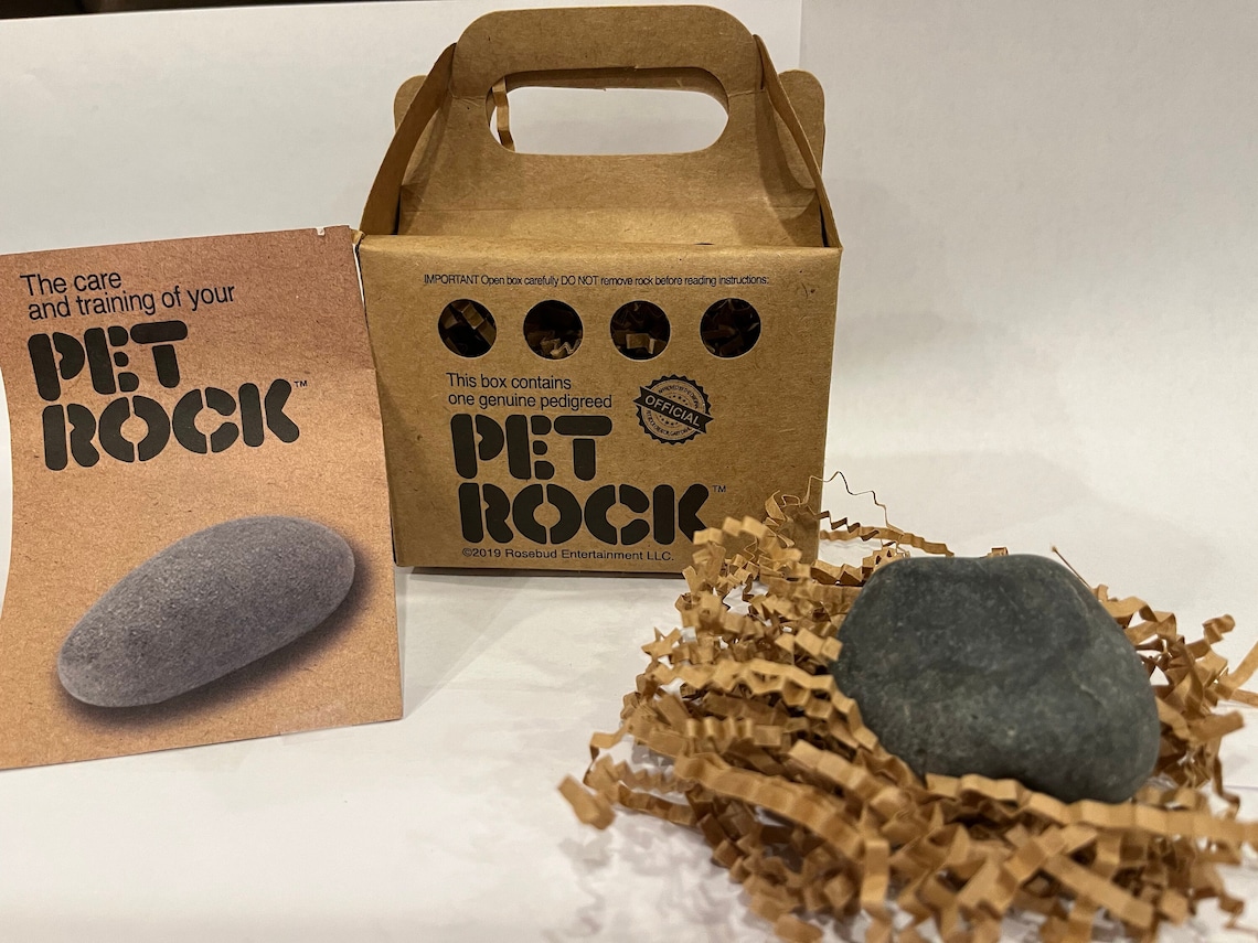 Pet Rock Original Etsy