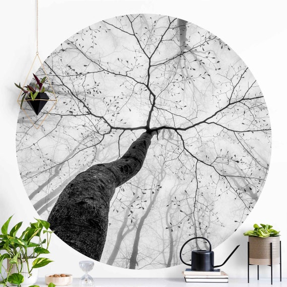 WallCircle - Papier peint cercle - Stickers muraux chambre - Herbe de pampa  - Nature 