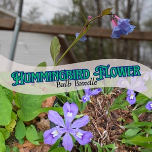 May include: A white ceramic mug with a black handle and the text "But First, Coffee" in a black, bold font. The mug is sitting on a wooden surface.