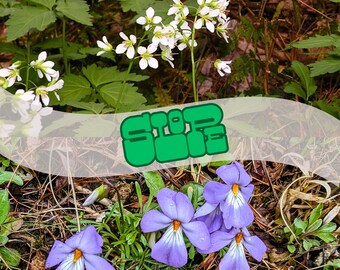 Slope Flower Bulb Bundle for Hardiness Zones 4-8: Toothwort & Bird’s Foot Violet